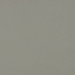 Steel Concrete G555