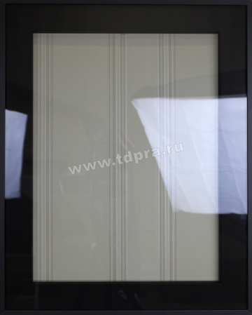 Алюминиевый фасад ЦФ 2103, профиль широкий INTEGRO черный, стекло прозрачное (Изображение 1)