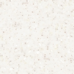 Tapioca Pearl G050