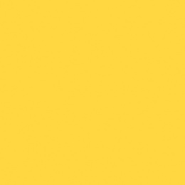 Sunflower(N) SS042