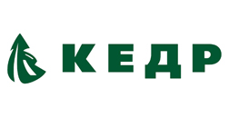 Кедр